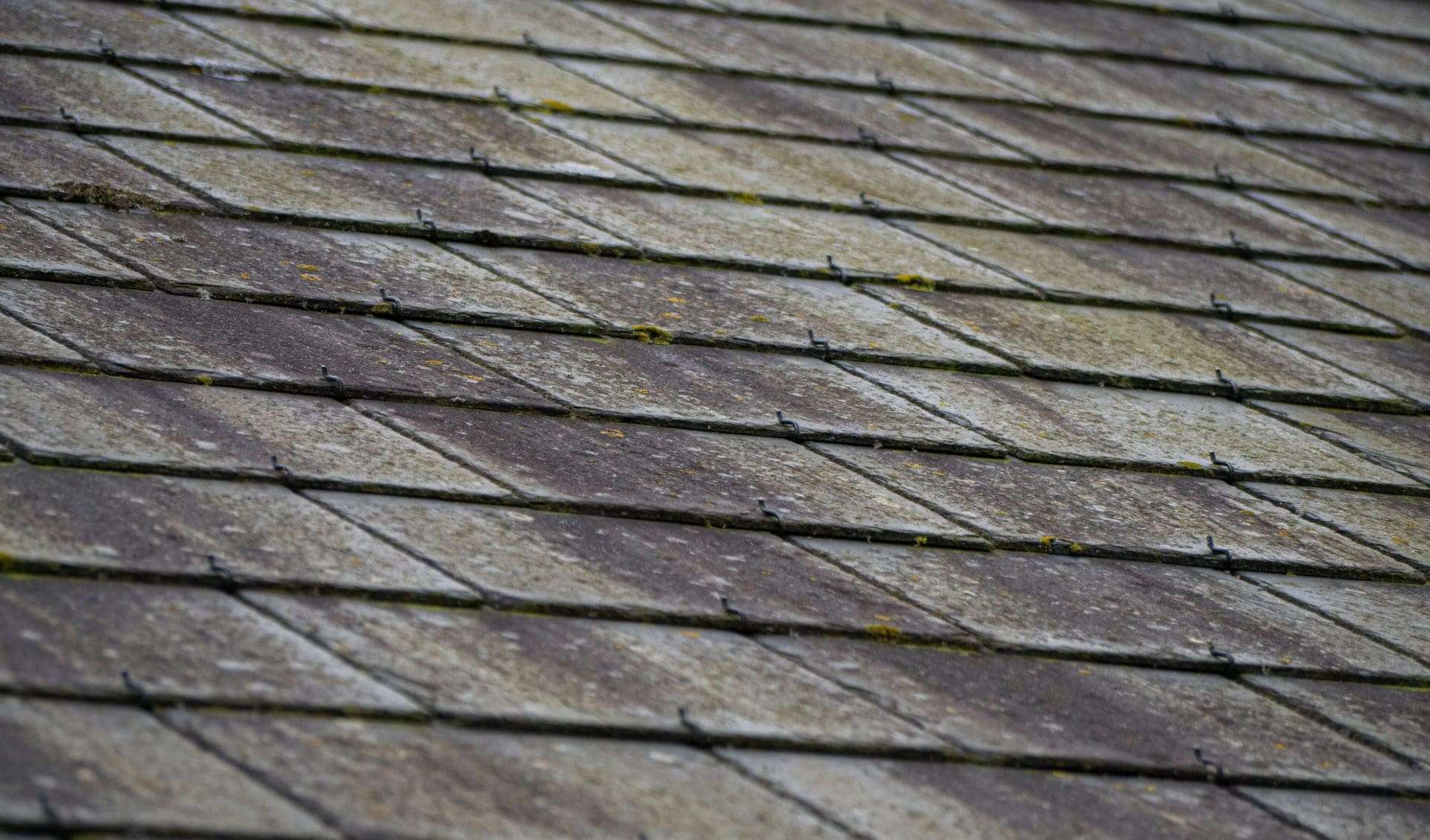 mold damage in roof repair Knoxville, TN; roofing companies Knoxville, Tennessee
