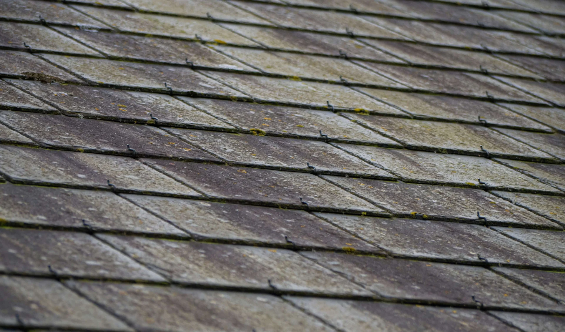 mold damage in roof repair Knoxville, TN; roofing companies Knoxville, Tennessee