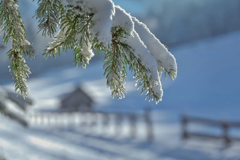 Common winter roofing problems in East Tennessee