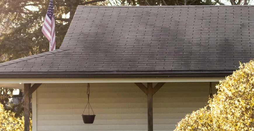 Black mold streaks on asphalt shingles in East Tennessee before professional cleaning.