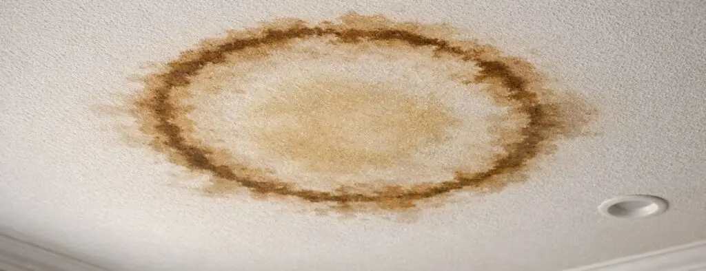 Water stain on interior ceiling with brown damage ring from roof leak – Daniel Hood Roofing Systems