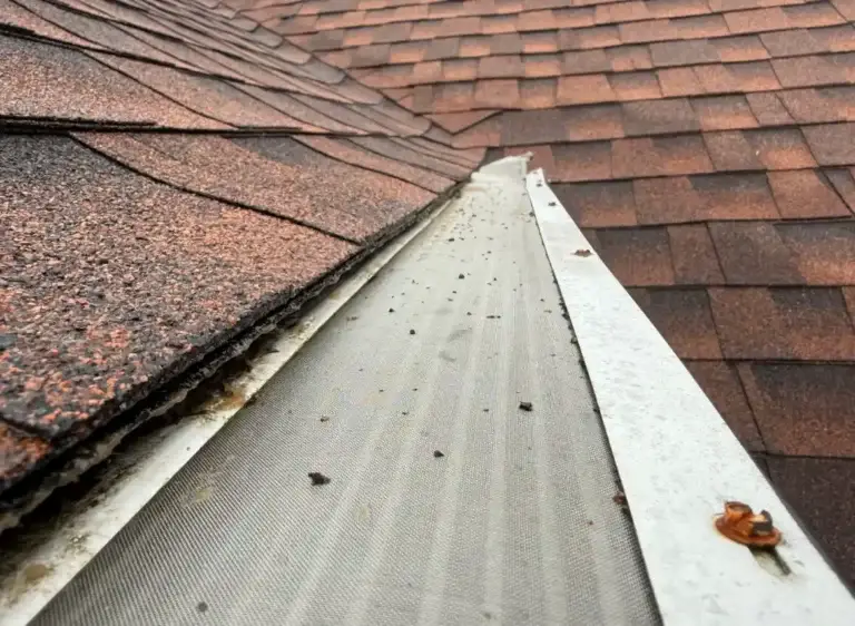 Gutter guard causing shingles to lift along the roof edge