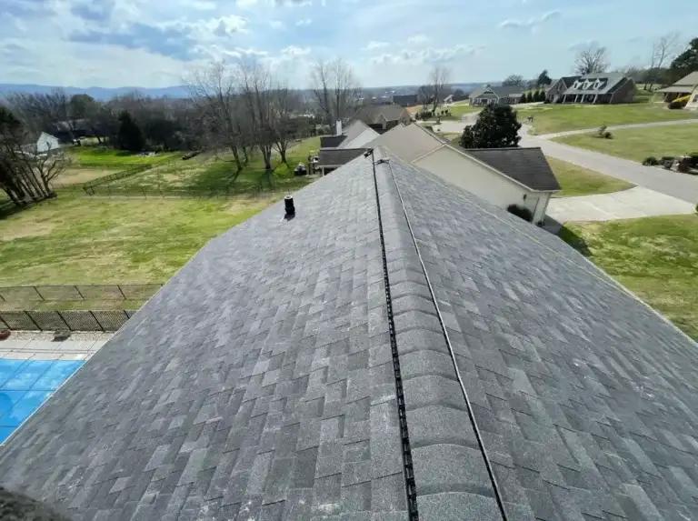 Finished residential roof with architectural shingles and ridge ventilation installed by Daniel Hood Roofing.